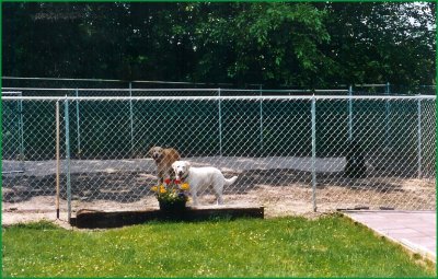 fenced area